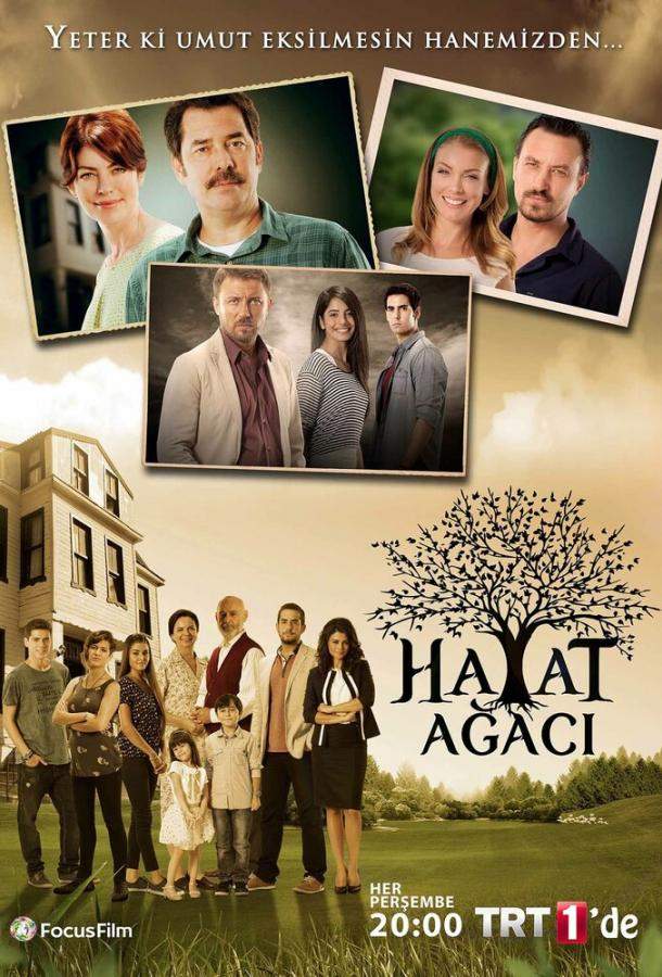 Дерево жизни 1 сезон