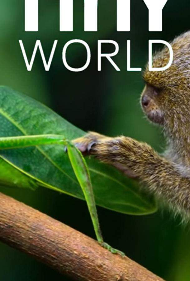 Крошечный мир 1,2 сезон