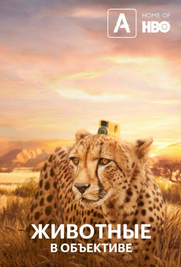 Животные в объективе 1 сезон