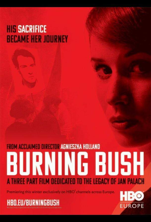 Неопалимая купина 1 сезон