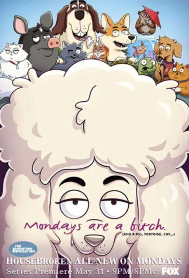 К лотку приучены 1,2 сезон